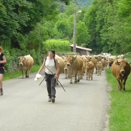 Aux Quatre Saisons Couette-café *