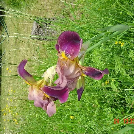 Bed & Breakfast Aux Quatre Saisons