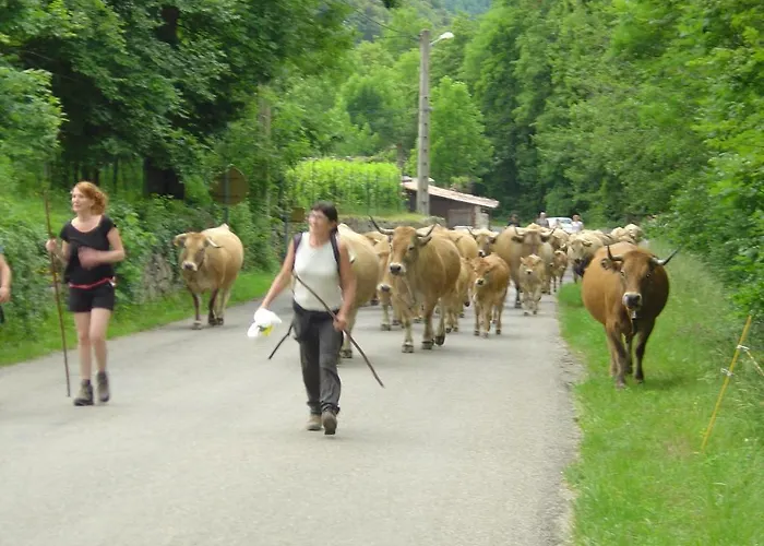 Aux Quatre Saisons Alojamento de Acomodação e Pequeno-almoço *