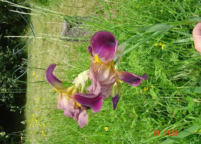 Alojamento de Acomodação e Pequeno-almoço Aux Quatre Saisons